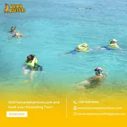 Snorkel Arubas Hidden Gems
